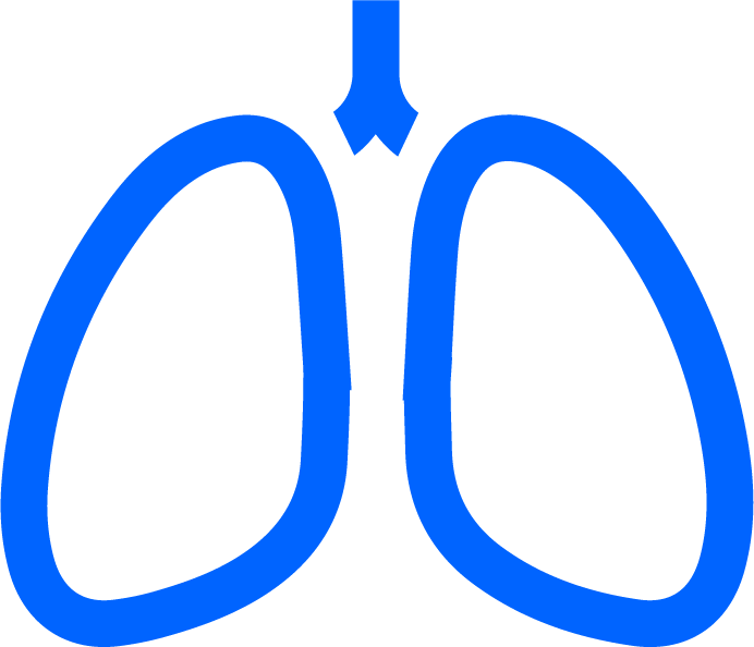category icon
