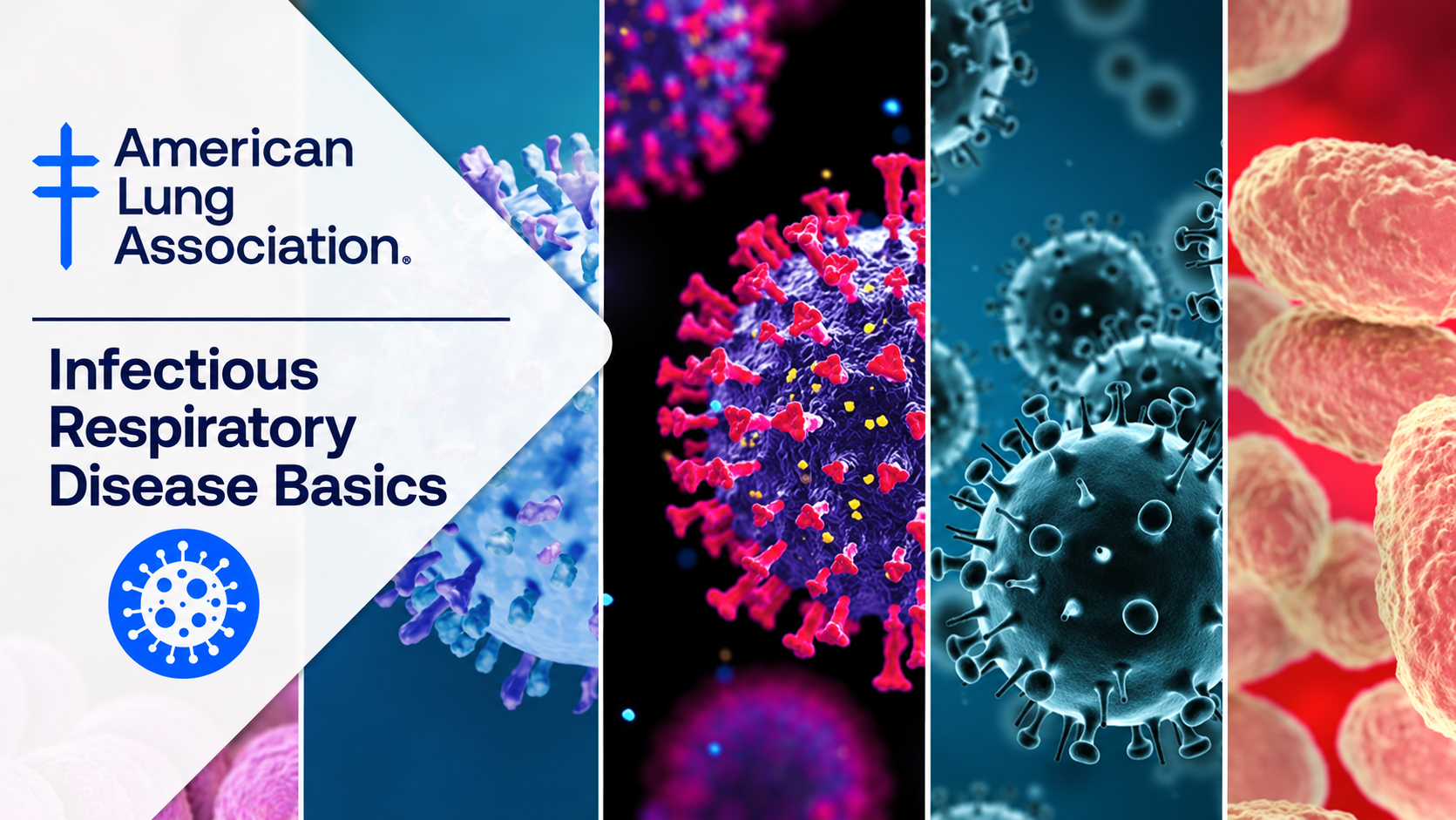 Infectious Respiratory Disease course